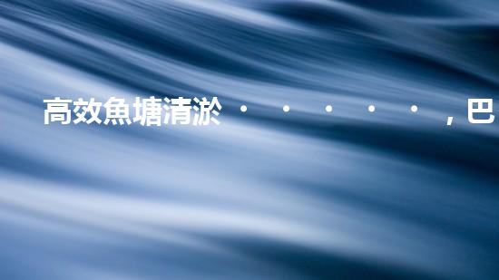 高效魚塘清淤，巴洛仕設(shè)備助力生態(tài)養(yǎng)殖